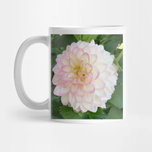 Soft Pink, Yellow And White Dahlia Bloom Mug